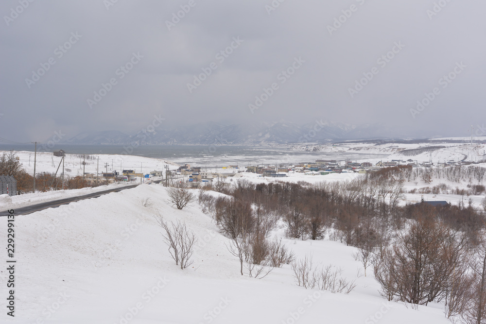 雪国の厳しい冬景色