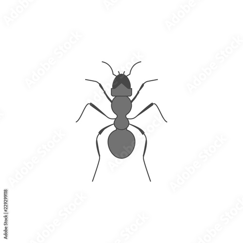ant colored outline icon. One of the collection icons for websites, web design, mobile app © gunayaliyeva