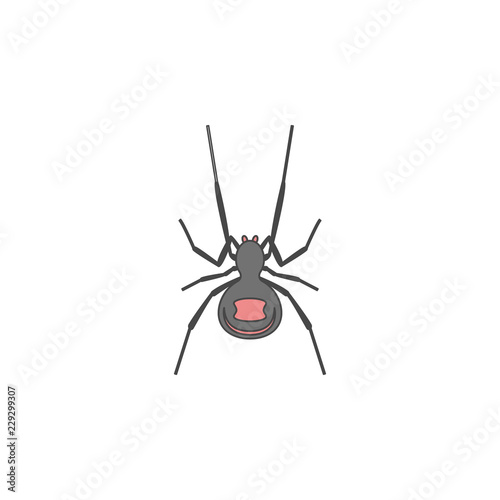 spider colored outline icon. One of the collection icons for websites, web design, mobile app