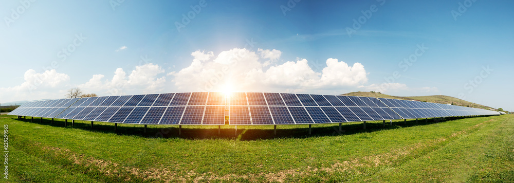 Panoramic view of solar panels, photovoltaics - alternative electricity source - obrazy, fototapety, plakaty 
