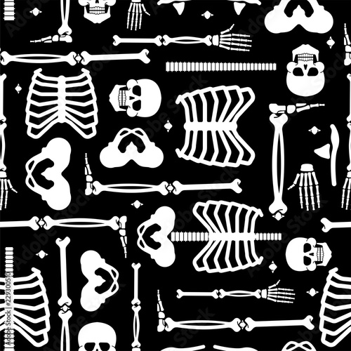 Skeleton anatomy human pattern seamless. Skeletal system cross section backgrund. Bones and skull. Ribs and pelvic bone. vector ornament