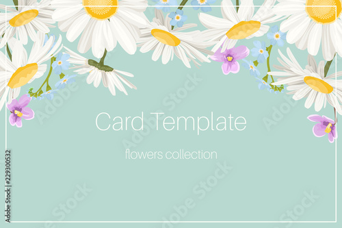 Wedding event invitation card template. Daisy chamomile wild field autumn summer spring flowers border frame. Floral design template blue frame text placeholder. Horizonatal landscape aspect ratio.