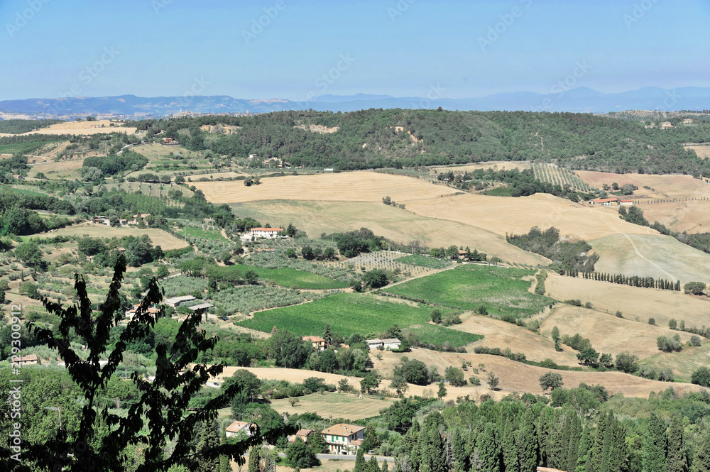 Toskanische Landschaft südlich von Pienza, Toskana, Italien, Europa, ÖffentlicherGrund, Europa