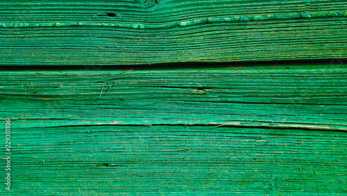 Old wooden wall.Green abstract background.