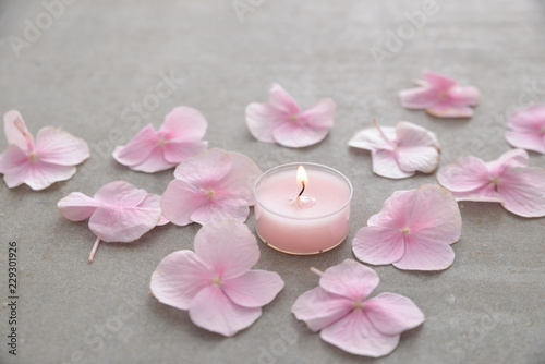 Beautiful spa composition with hydrangea flowers with candle on gray background
