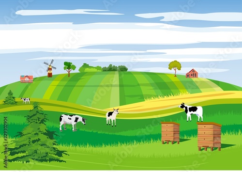 Countryside, farmland, hives, green meadow and hills, agriculture theme, cow and village house
