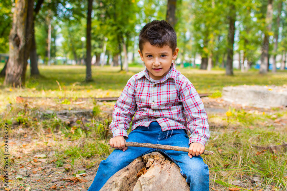 boy in the Park sitting on a log boy in the Park sitting on a log