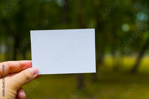 blank for visual presentation of business cards