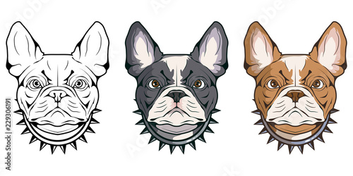 french bulldog, pet logo, dog french bulldog, colored pets for design, french bulldog puppy, colour illustration suitable as logo or team mascot, dog illustration, vector graphics to design