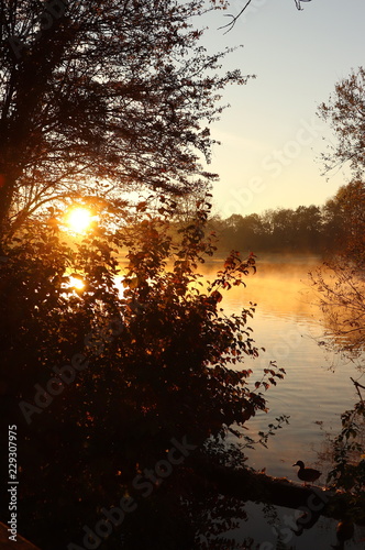 Fototapeta Naklejka Na Ścianę i Meble -  sinrise on the lake in autumn