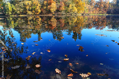 Fototapeta Naklejka Na Ścianę i Meble -  incredibly beautiful autumn forest landscape with a lake