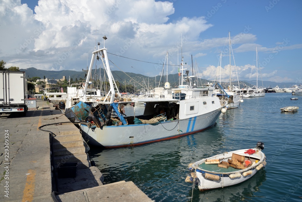 Fishing boats at Santa Margherita Fishing boats at Santa Margherita