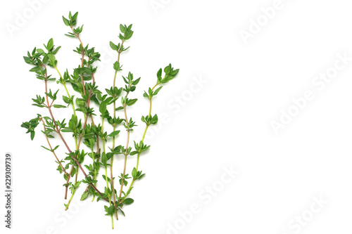 Thyme bunch isolated on white background close up