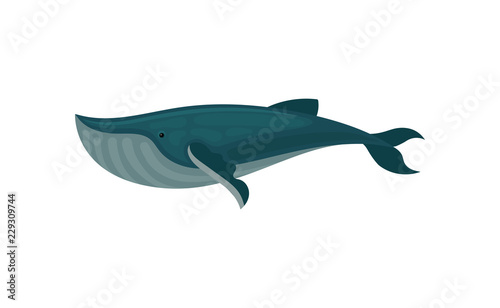 Flat vector icon of blue whale. Large marine mammal. Sea animal. Element for children book or mobile game
