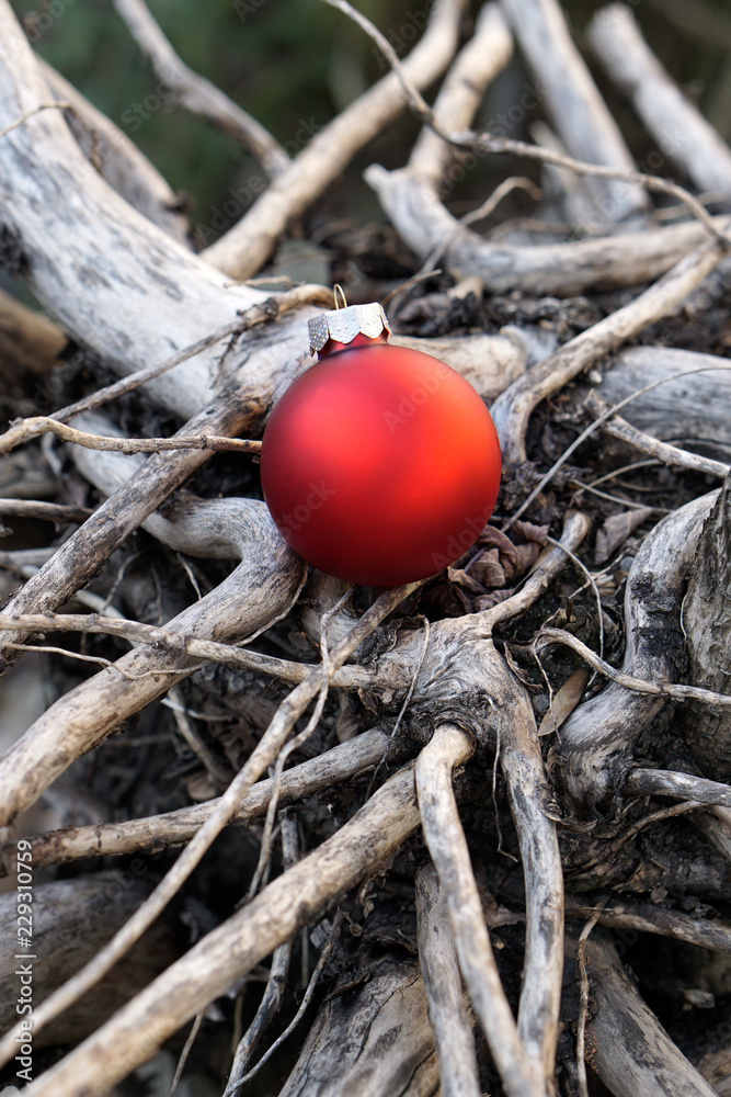 Baumwurzel mit Weihnachtskugel, Weihnachtsmotiv, Weihnachtsgruss