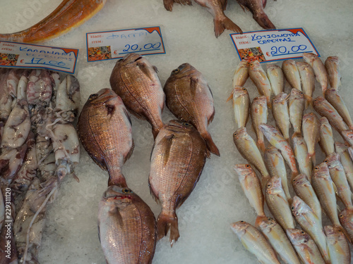 traditional fish market at Corfu town Kerkyra in greece. different kind of mediterranean fresh fishes and squid for sale on ice photo