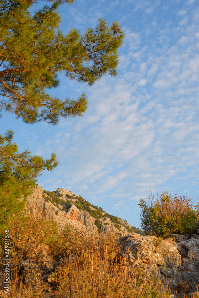 Fototapeta premium autumn landscape in the mountains
