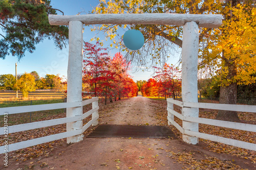Photos Tree lined driveway to rural farm land
