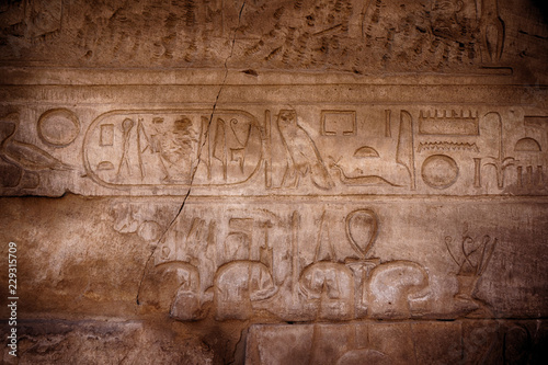 hieroglyph texture from Egypt karnak