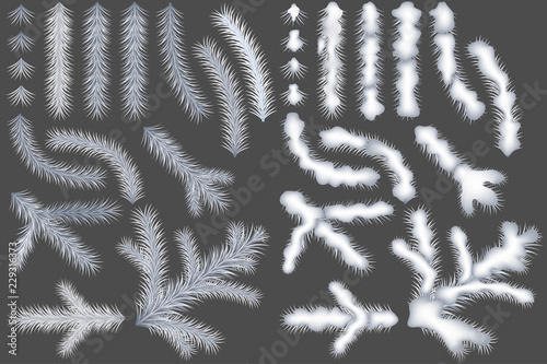 Set of White Coniferous Branches - Colored Illustrations and Design Elements for Your Graphic Design with Winter or Christmas Composition, Vector