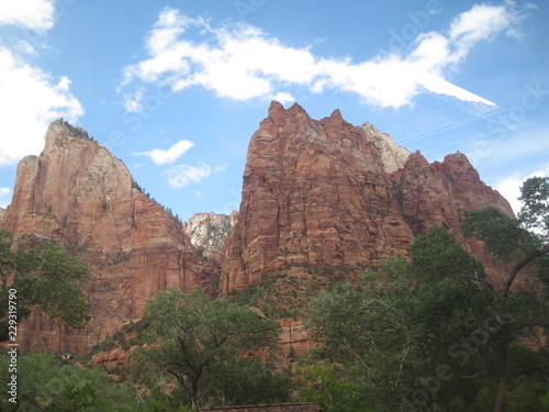 view from Zion National Park