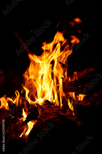 Flame of burning firewood at night in the forest.