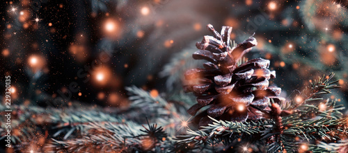 Christmas or New Year blurred snow background with festive fir tree and pine cones, selective focus