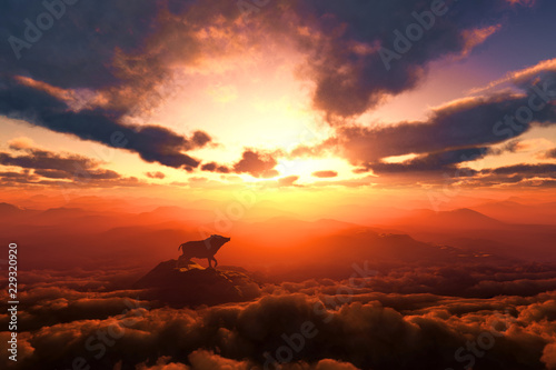 日の出とイノシシのシルエット © bigfoot