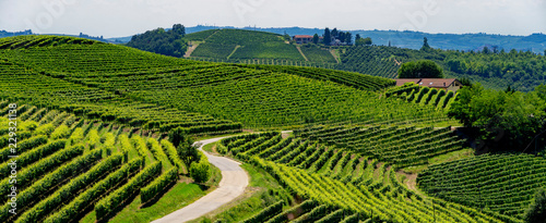 Vineyards near Barbaresco, Cuneo, in Langhe © Claudio Colombo
