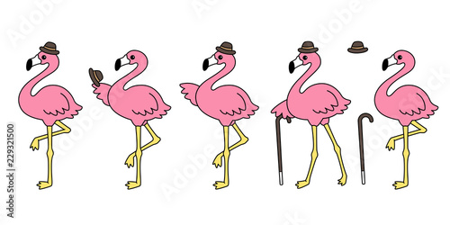 pink flamingo vector set hat cartoon character icon flamingos collection illustration Cute animal exotic nature wild fauna