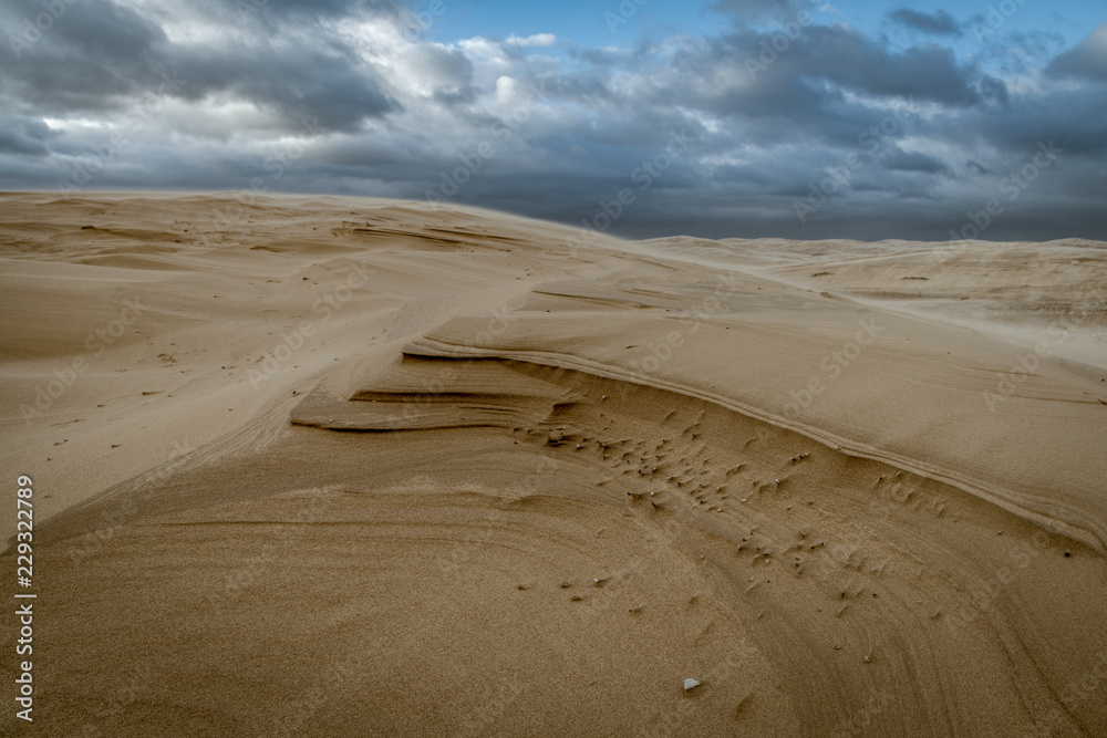 Fototapeta premium sand dunes in the desert