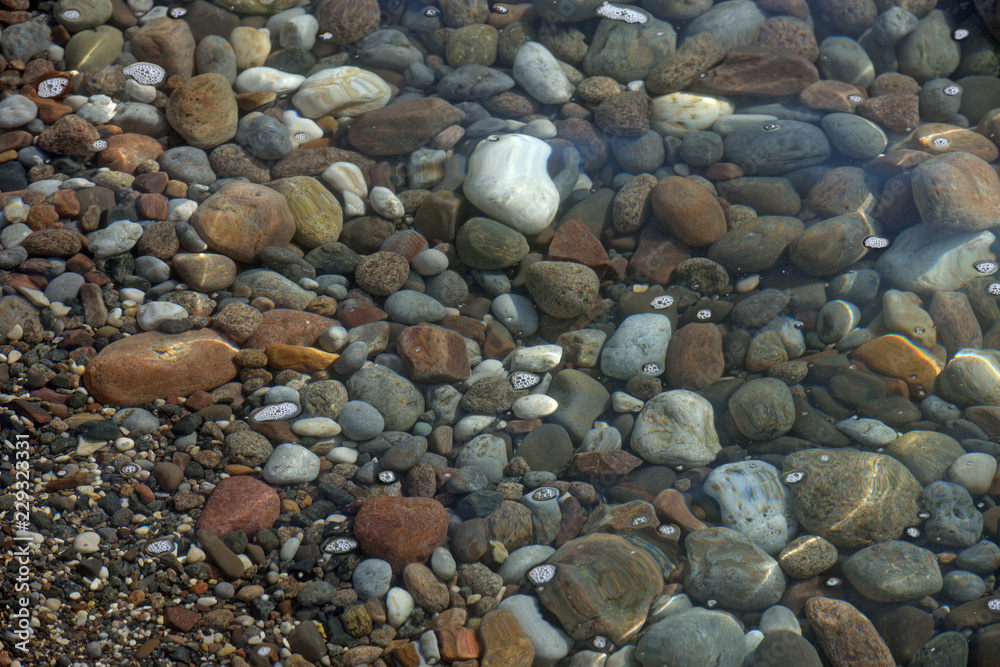 Multicolored pebble under clear water of shallow as natural background.