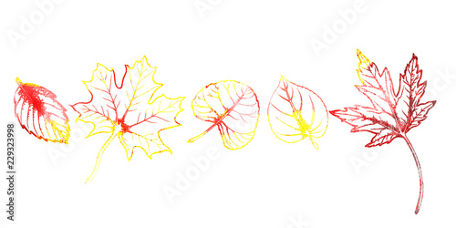  Set of autumn leaves illustrations