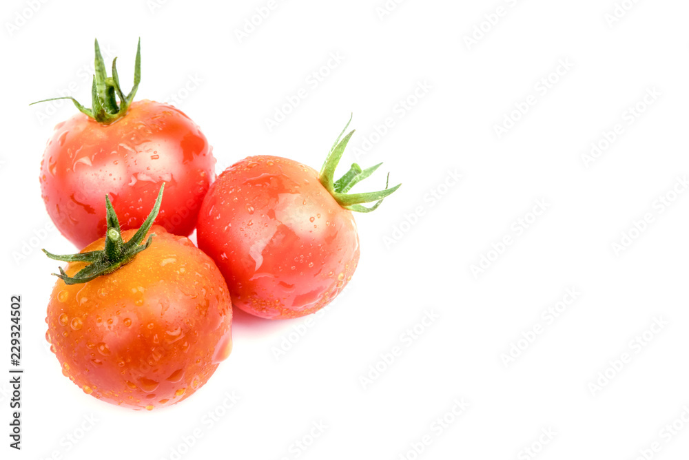 fresh tomatoes isolated on white background fresh tomatoes isolated on white background