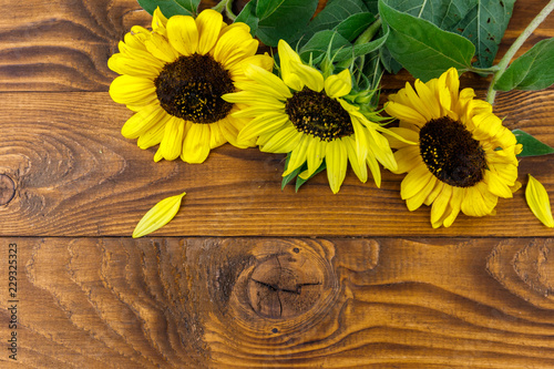 Fototapeta Naklejka Na Ścianę i Meble -  Decorative sunflowers on the wooden background