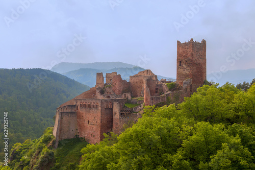 Ruins of the medieval castle Saint-Ulrich (built from the 11th to the 16th centuries) on the top of the hill at Ribeauville, Alsace, France