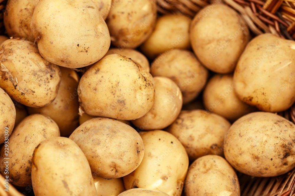 Basket of fresh tasty new potatoes. Basket of fresh tasty new potatoes.