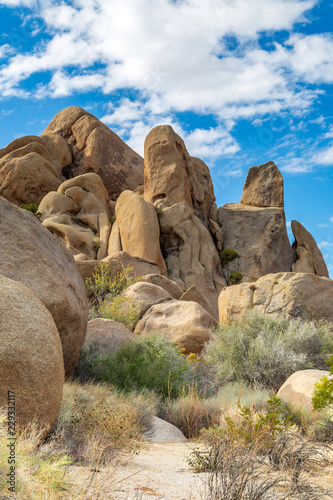 Rock formations in Joshua Tree National Park, in California