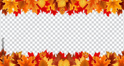 Autumn leaves  border frame with space text on transparent background. Can be used for thanksgiving, harvest holiday,  decoration and design. Vector Illustration