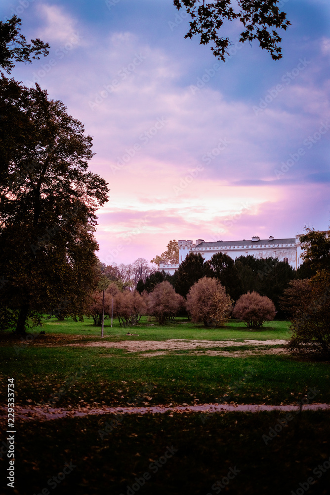 Fototapeta premium sunset in the castle park, rusovce