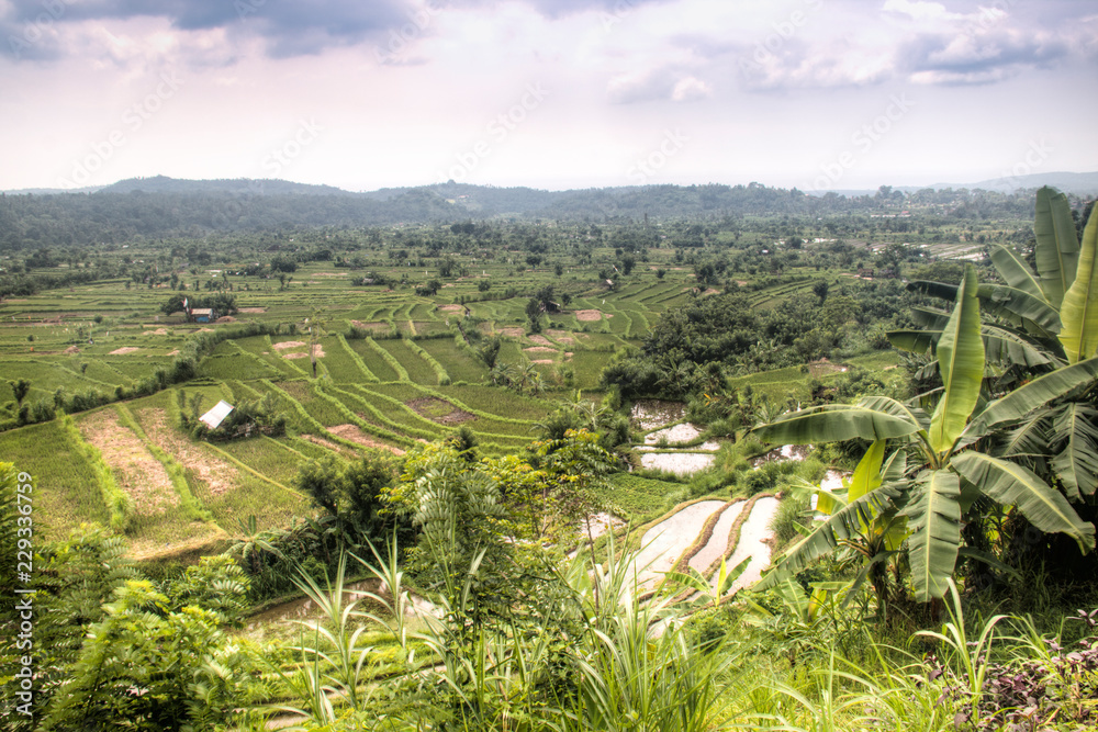 View over the rice fields near Amed in eastern Bali, the most touristic island of Indonesia
