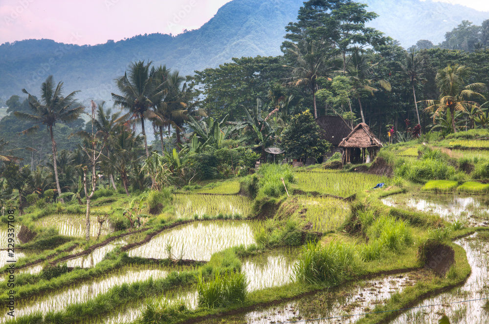 View over the rice fields near Sidemen in Bali, the most touristic island of Indonesia