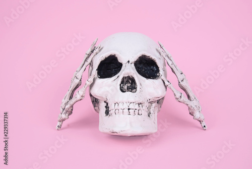 Skull on trendy pastel pink background.