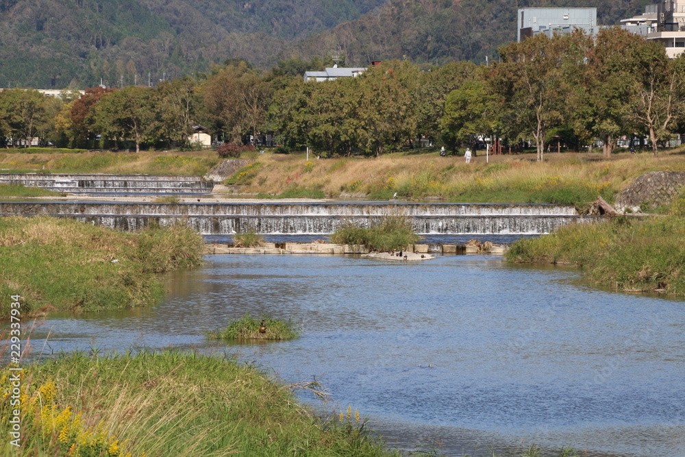 京都ぶらり、秋の鴨川に光る水面 京都ぶらり、秋の鴨川に光る水面