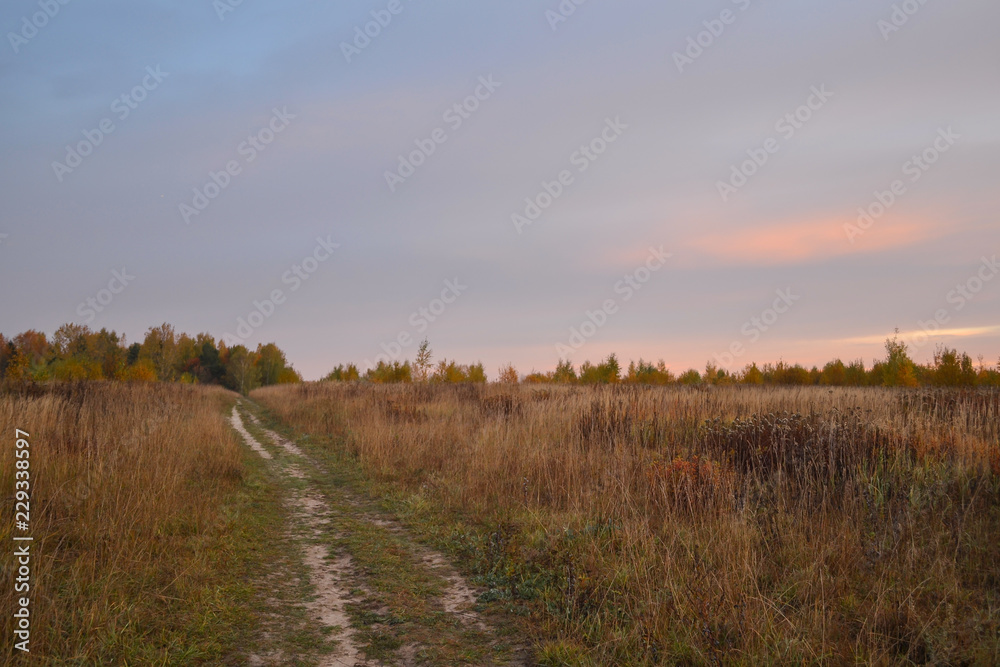 dirt road goes through a field to a forest. Early morning. Autumn. Russia