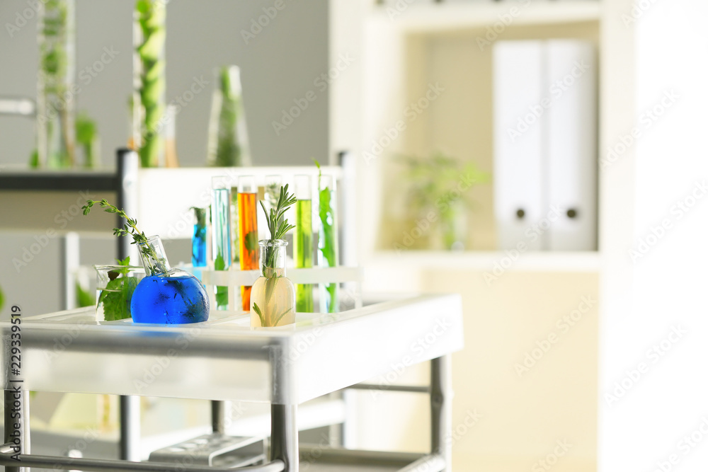 Glassware with plants and liquids on shelf in laboratory Glassware with plants and liquids on shelf in laboratory