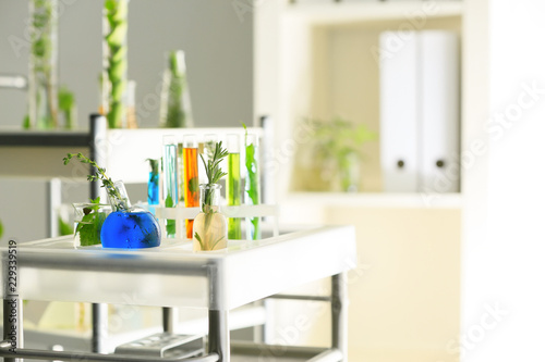 Glassware with plants and l...