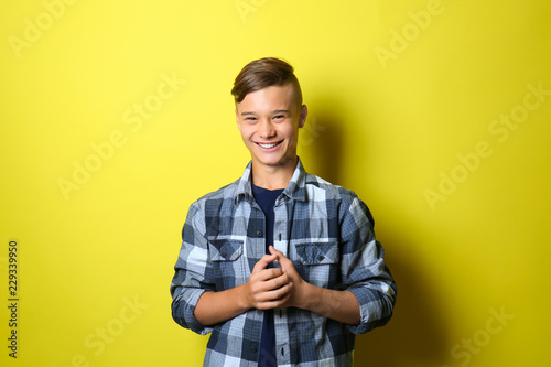 Smiling teenage boy on colo...