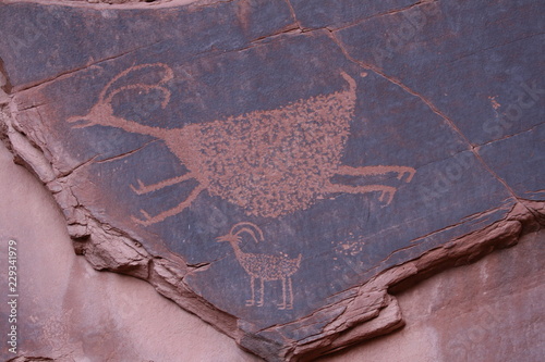 Petroglyph of deer or goat on red and dark rock in monument valley