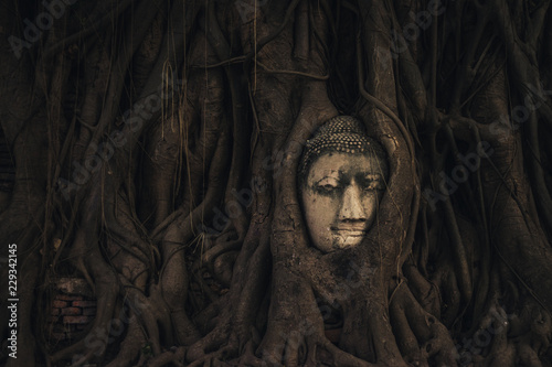 Ayutthaya Buddha's head, THAILAND